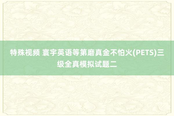 特殊视频 寰宇英语等第磨真金不怕火(PETS)三级全真模拟试题二