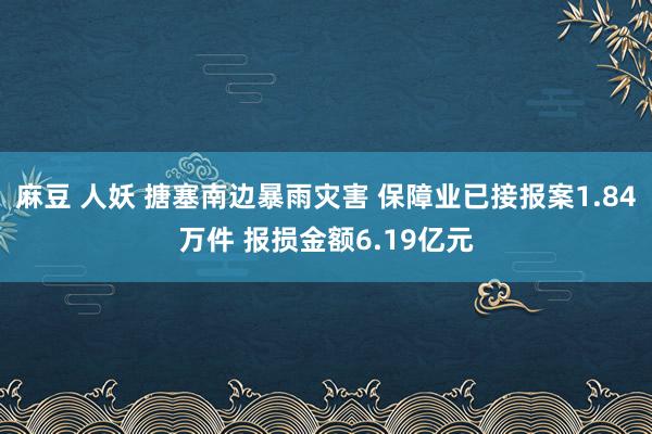麻豆 人妖 搪塞南边暴雨灾害 保障业已接报案1.84万件 报损金额6.19亿元