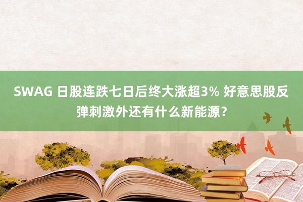 SWAG 日股连跌七日后终大涨超3% 好意思股反弹刺激外还有什么新能源？