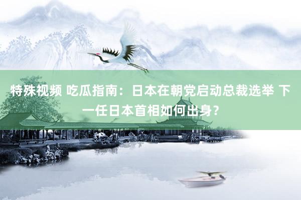 特殊视频 吃瓜指南：日本在朝党启动总裁选举 下一任日本首相如何出身？