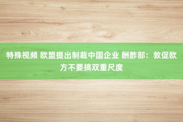 特殊视频 欧盟提出制裁中国企业 酬酢部：敦促欧方不要搞双重尺度