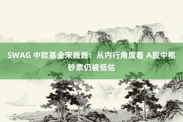 SWAG 中欧基金宋巍巍：从内行角度看 A股中枢钞票仍被低估