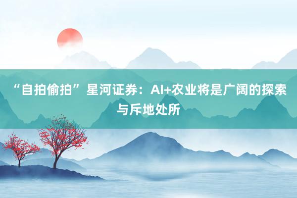 “自拍偷拍” 星河证券：AI+农业将是广阔的探索与斥地处所