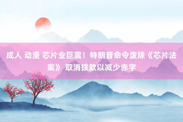 成人 动漫 芯片业巨震！特朗普命令废除《芯片法案》 取消拨款以减少赤字