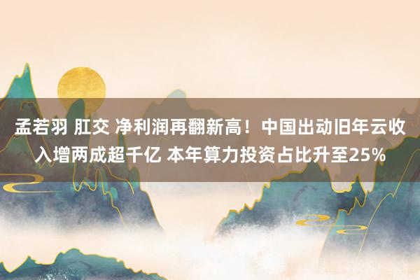 孟若羽 肛交 净利润再翻新高！中国出动旧年云收入增两成超千亿 本年算力投资占比升至25%